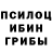 Псилоцибиновые грибы мухоморы Marina Paladich