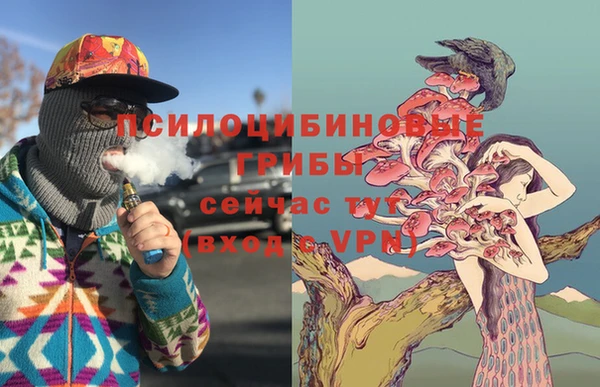 мяу мяу мука Баксан