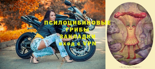 мяу мяу мука Баксан