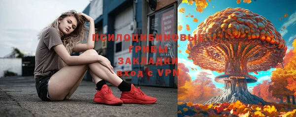 мдпв Балахна