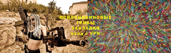 мяу мяу мука Баксан