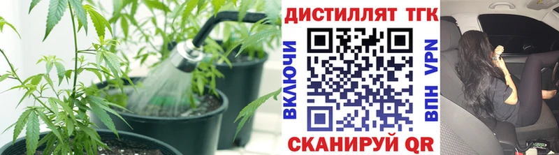 ТГК THC oil  Купить где  Высоковск 